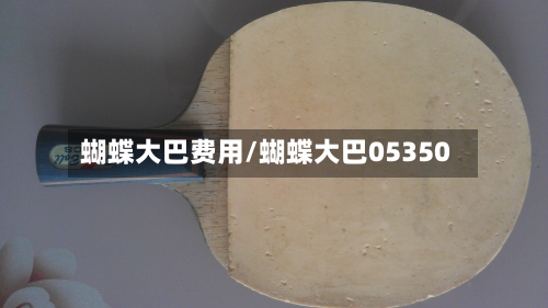 蝴蝶大巴费用/蝴蝶大巴05350-第3张图片