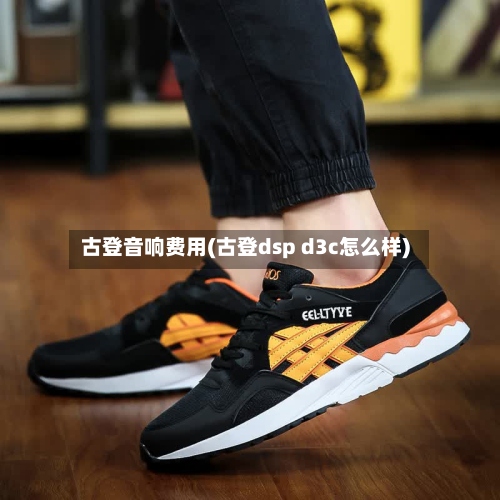 古登音响费用(古登dsp d3c怎么样)-第2张图片