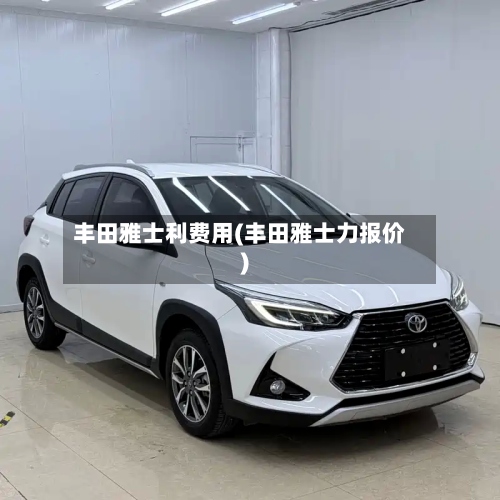 丰田雅士利费用(丰田雅士力报价)-第2张图片