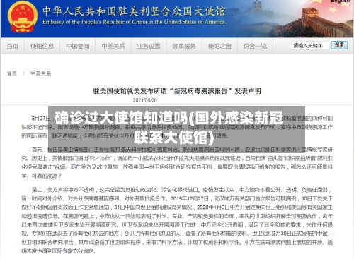 确诊过大使馆知道吗(国外感染新冠联系大使馆)-第2张图片