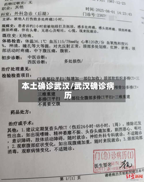 本土确诊武汉/武汉确诊病历-第2张图片