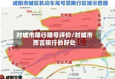 对城市限行限号评价/对城市而言限行的好处-第3张图片