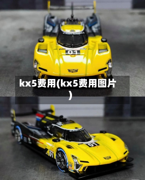 kx5费用(kx5费用图片)