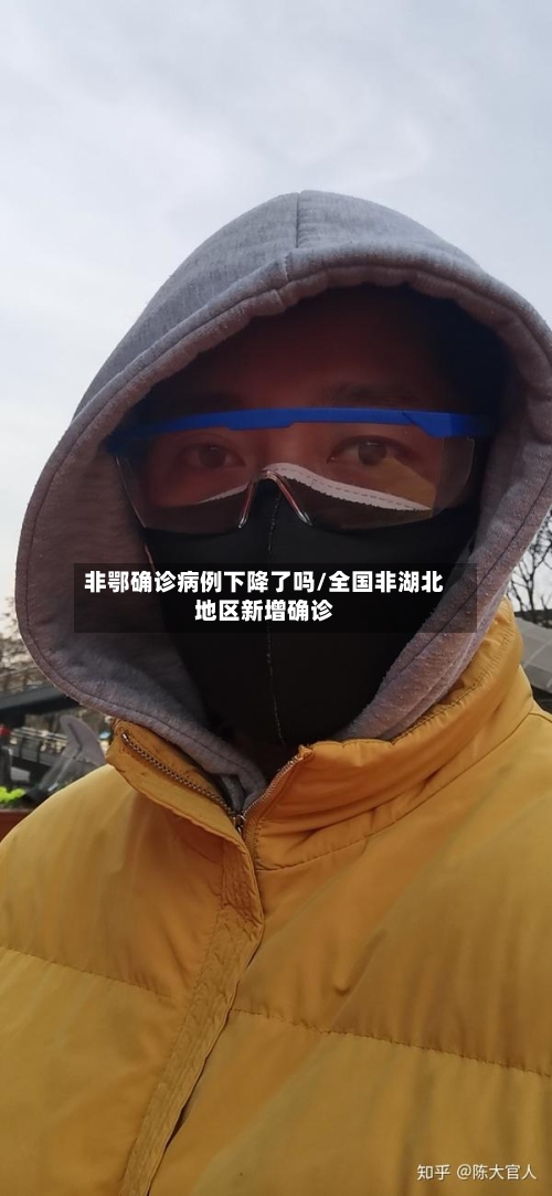非鄂确诊病例下降了吗/全国非湖北地区新增确诊-第3张图片