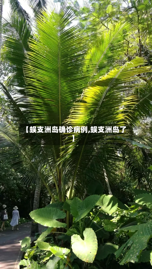 【蜈支洲岛确诊病例,蜈支洲岛了】