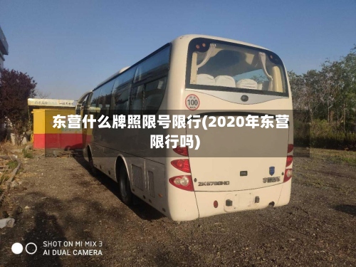 东营什么牌照限号限行(2020年东营限行吗)-第3张图片