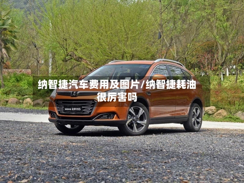 纳智捷汽车费用及图片/纳智捷耗油很厉害吗-第2张图片