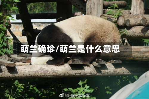 萌兰确诊/萌兰是什么意思
