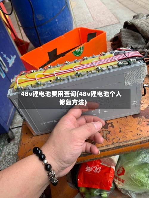 48v锂电池费用查询(48v锂电池个人修复方法)-第2张图片