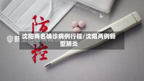 沈阳两名确诊病例行程/沈阳两例新型肺炎-第2张图片
