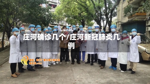 庄河确诊几个/庄河新冠肺炎几例-第2张图片