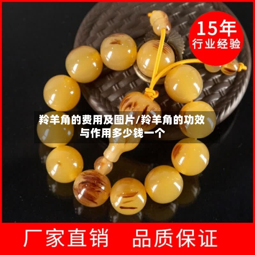 羚羊角的费用及图片/羚羊角的功效与作用多少钱一个