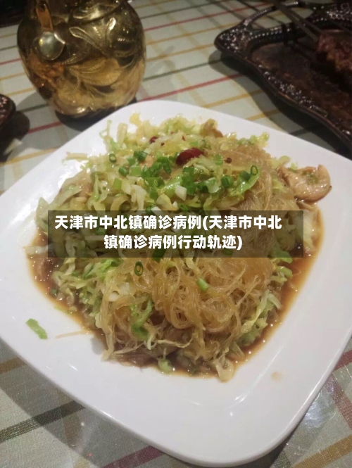 天津市中北镇确诊病例(天津市中北镇确诊病例行动轨迹)
