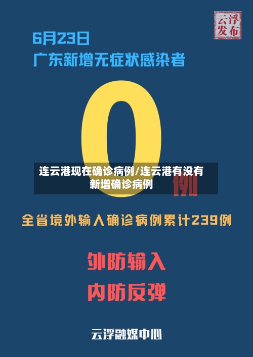 连云港现在确诊病例/连云港有没有新增确诊病例-第2张图片