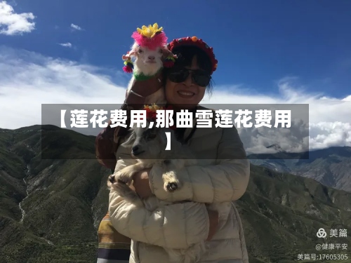 【莲花费用,那曲雪莲花费用】-第3张图片