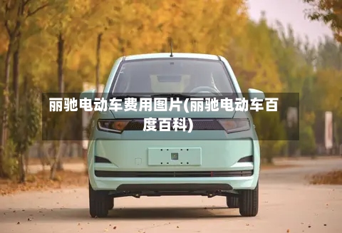 丽驰电动车费用图片(丽驰电动车百度百科)-第2张图片