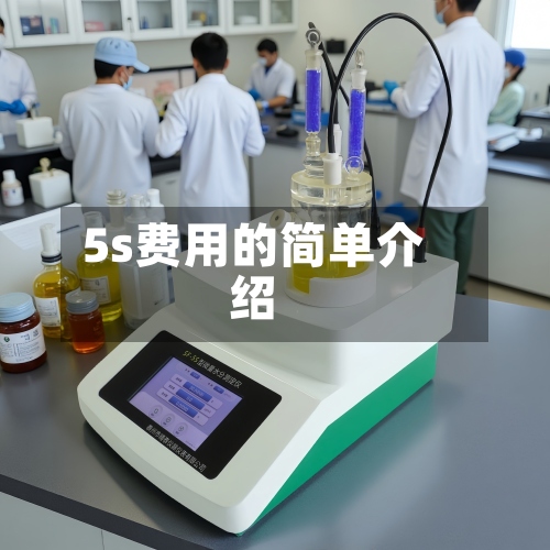 5s费用的简单介绍