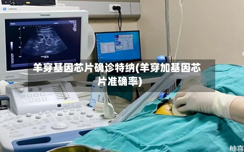 羊穿基因芯片确诊特纳(羊穿加基因芯片准确率)