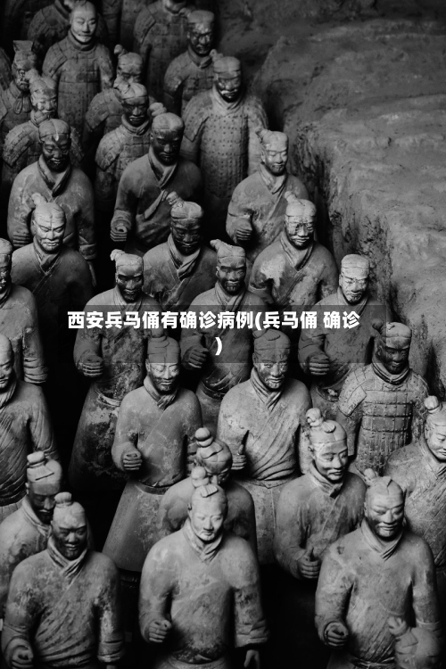 西安兵马俑有确诊病例(兵马俑 确诊)
