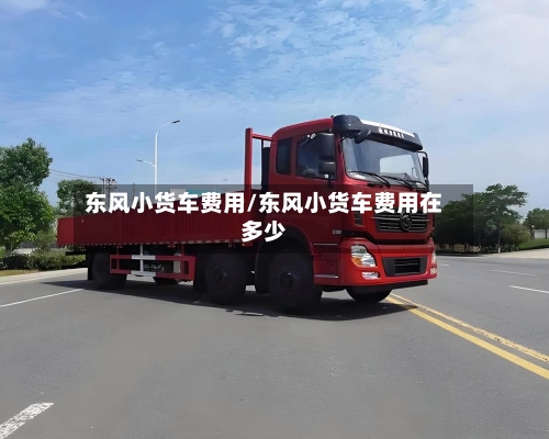 东风小货车费用/东风小货车费用在多少
