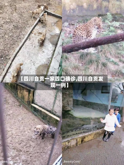 【四川自贡一家四口确诊,四川自贡发现一例】