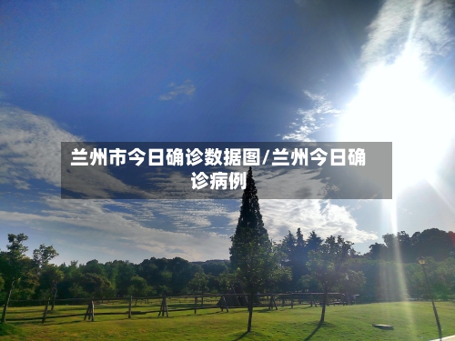 兰州市今日确诊数据图/兰州今日确诊病例-第2张图片