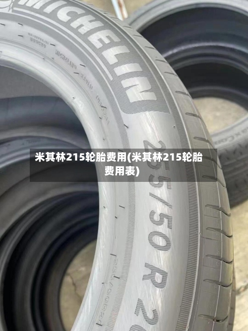 米其林215轮胎费用(米其林215轮胎费用表)-第2张图片