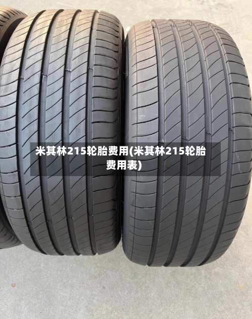 米其林215轮胎费用(米其林215轮胎费用表)-第3张图片