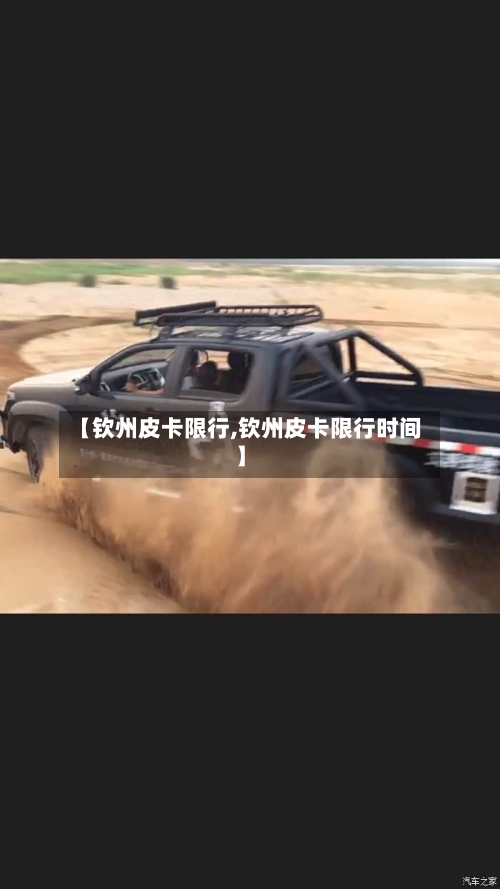 【钦州皮卡限行,钦州皮卡限行时间】-第2张图片