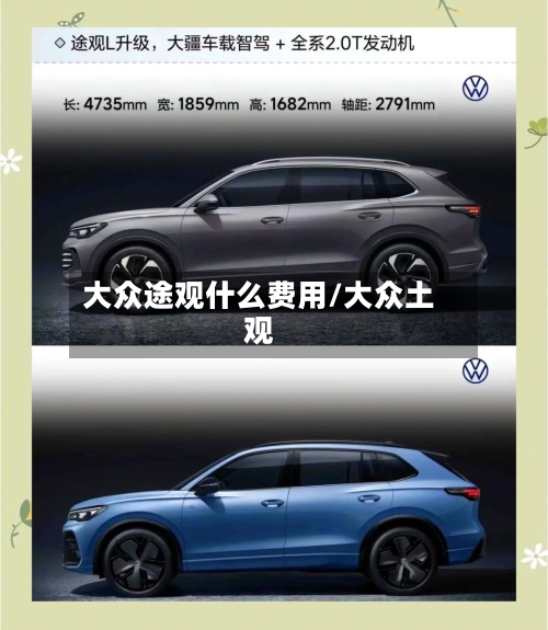 大众途观什么费用/大众土观