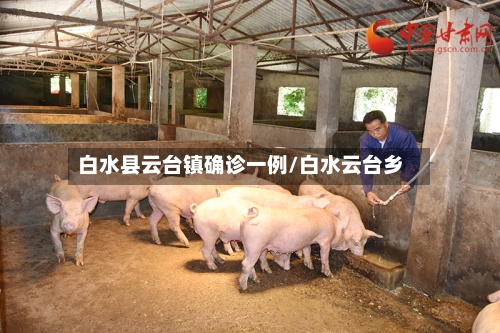 白水县云台镇确诊一例/白水云台乡