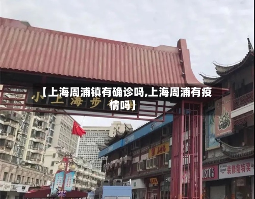 【上海周浦镇有确诊吗,上海周浦有疫情吗】-第3张图片