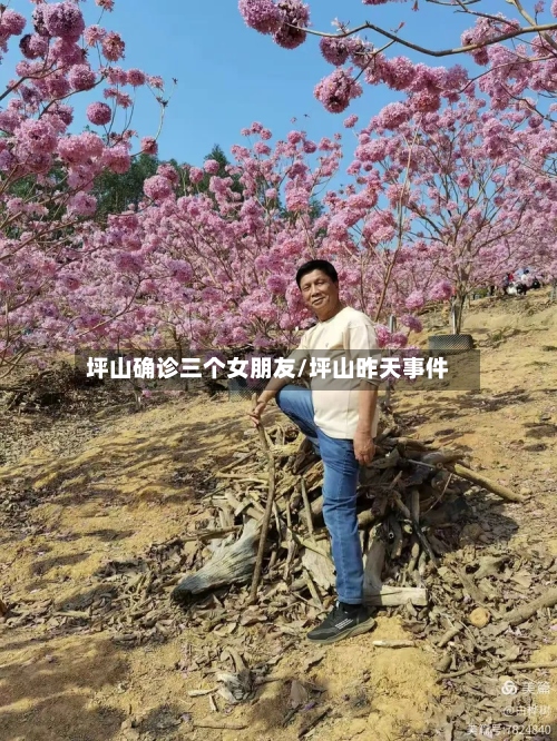 坪山确诊三个女朋友/坪山昨天事件-第2张图片