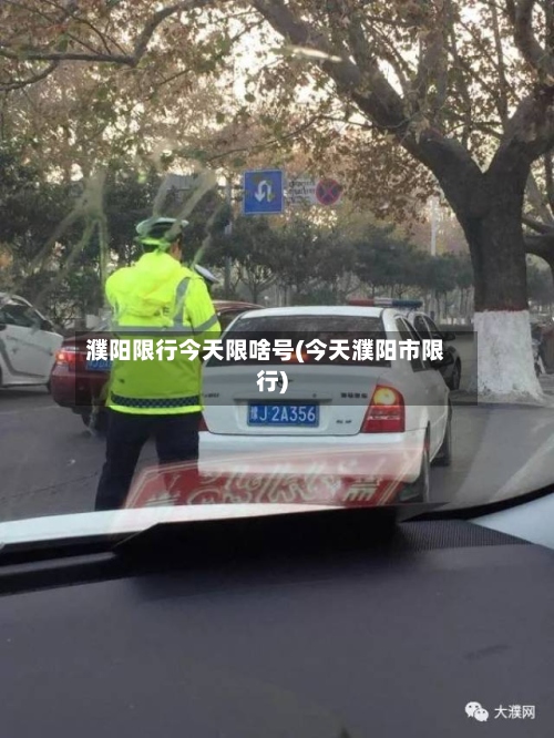 濮阳限行今天限啥号(今天濮阳市限行)