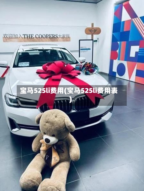 宝马525li费用(宝马525li费用表)-第2张图片