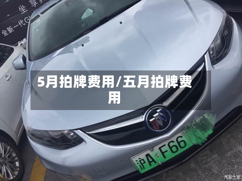 5月拍牌费用/五月拍牌费用-第2张图片