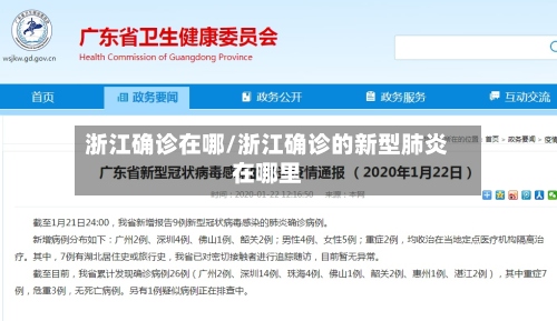浙江确诊在哪/浙江确诊的新型肺炎在哪里