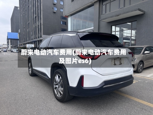蔚来电动汽车费用(蔚来电动汽车费用及图片es6)