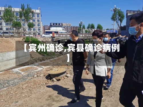 【宾州确诊,宾县确诊病例】-第3张图片