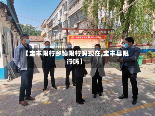 【宝丰限行乡镇限行吗现在,宝丰县限行吗】-第2张图片