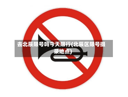去北辰限号吗今天限行(北辰区限号摄录地点)-第3张图片