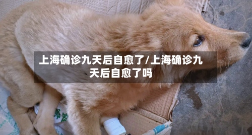 上海确诊九天后自愈了/上海确诊九天后自愈了吗
