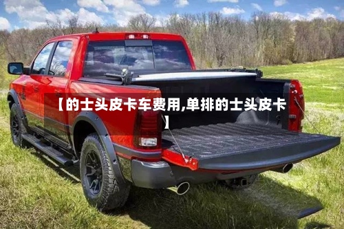 【的士头皮卡车费用,单排的士头皮卡】-第2张图片