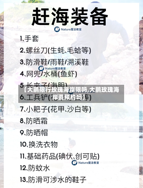 【大鹏限行玫瑰海岸限吗,大鹏玫瑰海岸要预约吗】-第2张图片