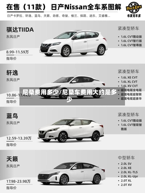 尼桑费用多少/尼桑车费用大约是多少-第3张图片