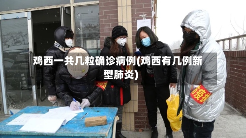 鸡西一共几粒确诊病例(鸡西有几例新型肺炎)-第3张图片