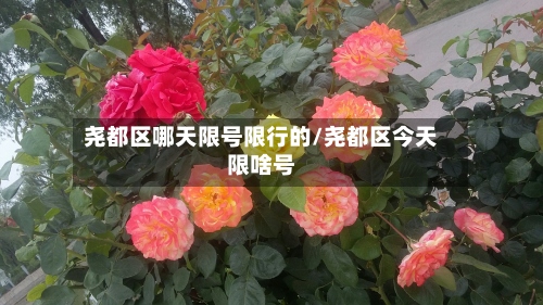 尧都区哪天限号限行的/尧都区今天限啥号