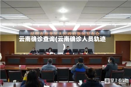云南确诊查询(云南确诊人员轨迹)-第2张图片