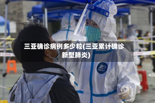 三亚确诊病例多少粒(三亚累计确诊新型肺炎)-第2张图片