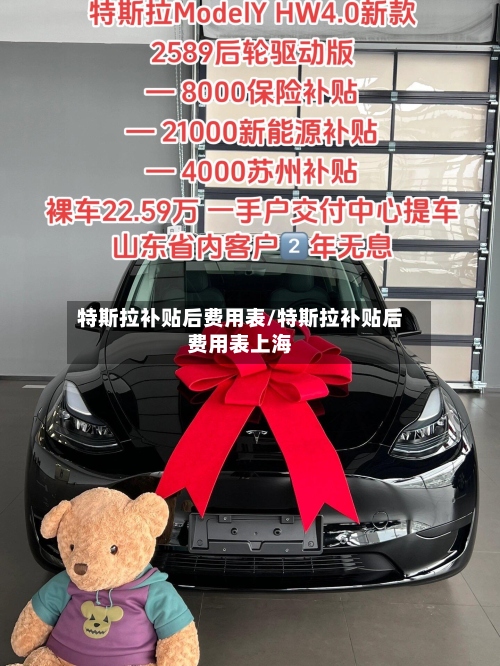 特斯拉补贴后费用表/特斯拉补贴后费用表上海-第2张图片